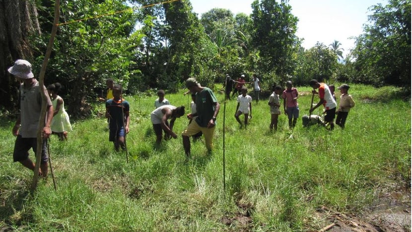 Open Classroom student s learn about Mangroves