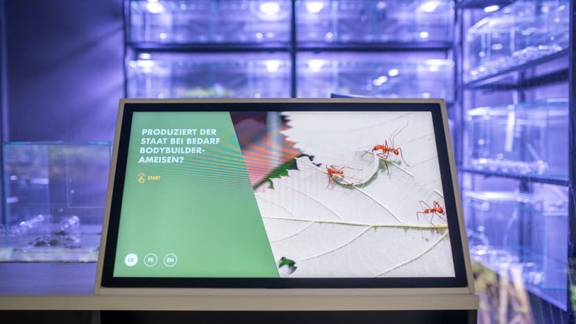 Informationsscreen in Forschungsstation