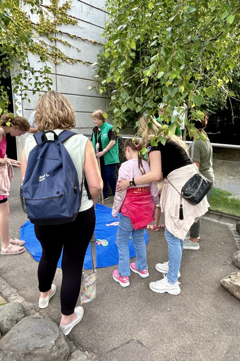 Dreamnight im Zoo Zürich am 7.6.2024.