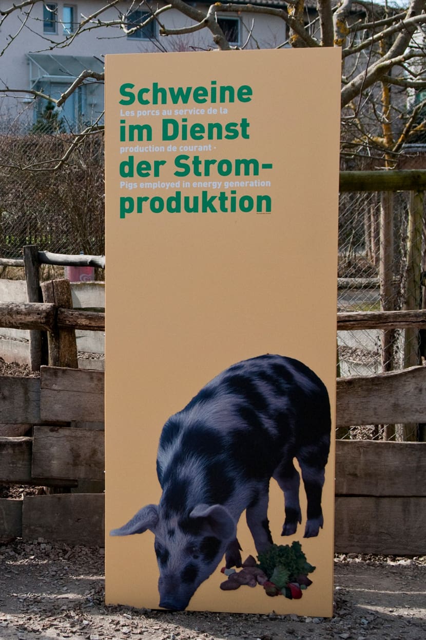 Ausstellung im Zoolino des Zoo Zürich.