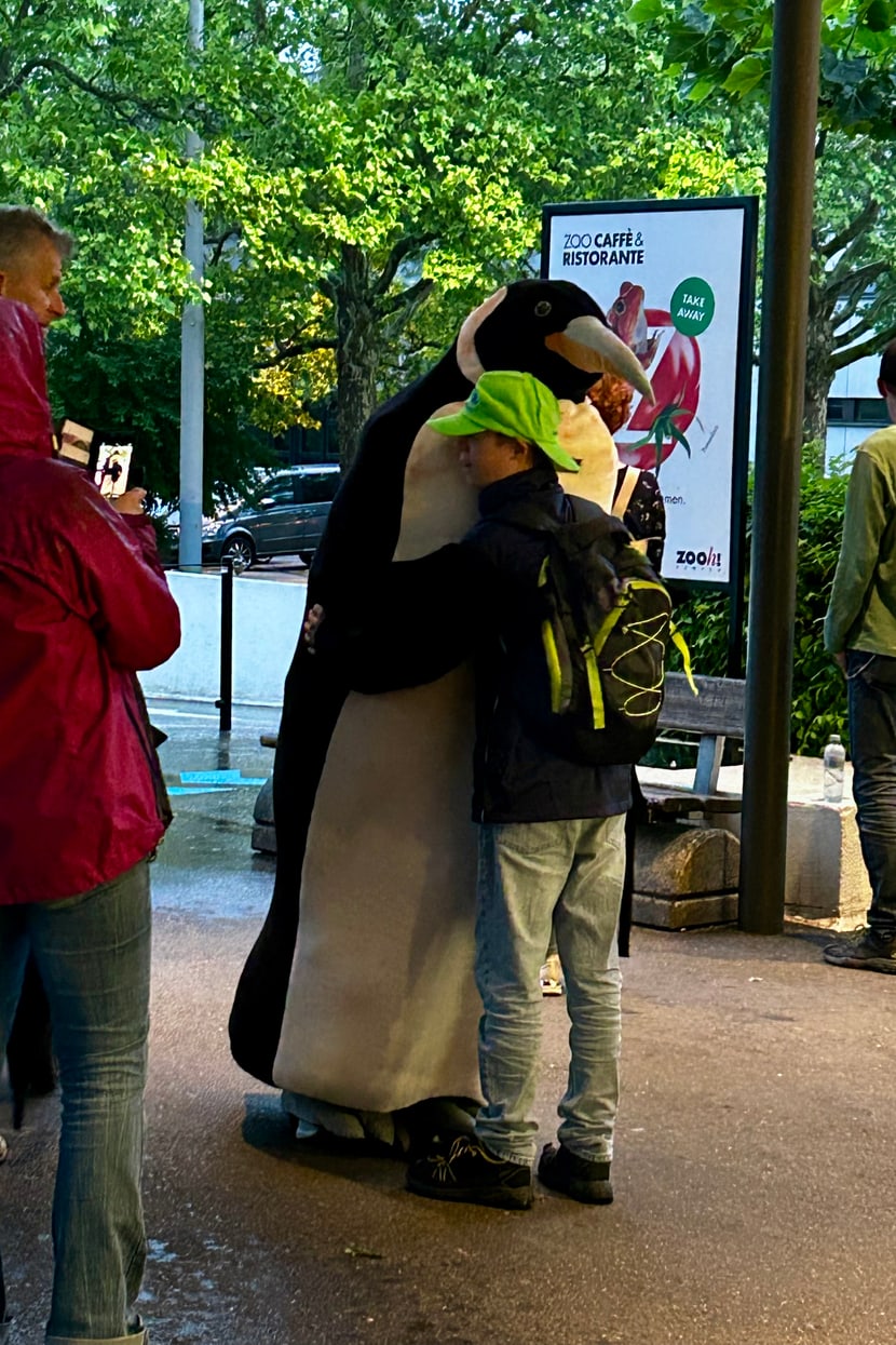 18. Dreamnight at the Zoo im Zoo Zürich im Juni 2025.