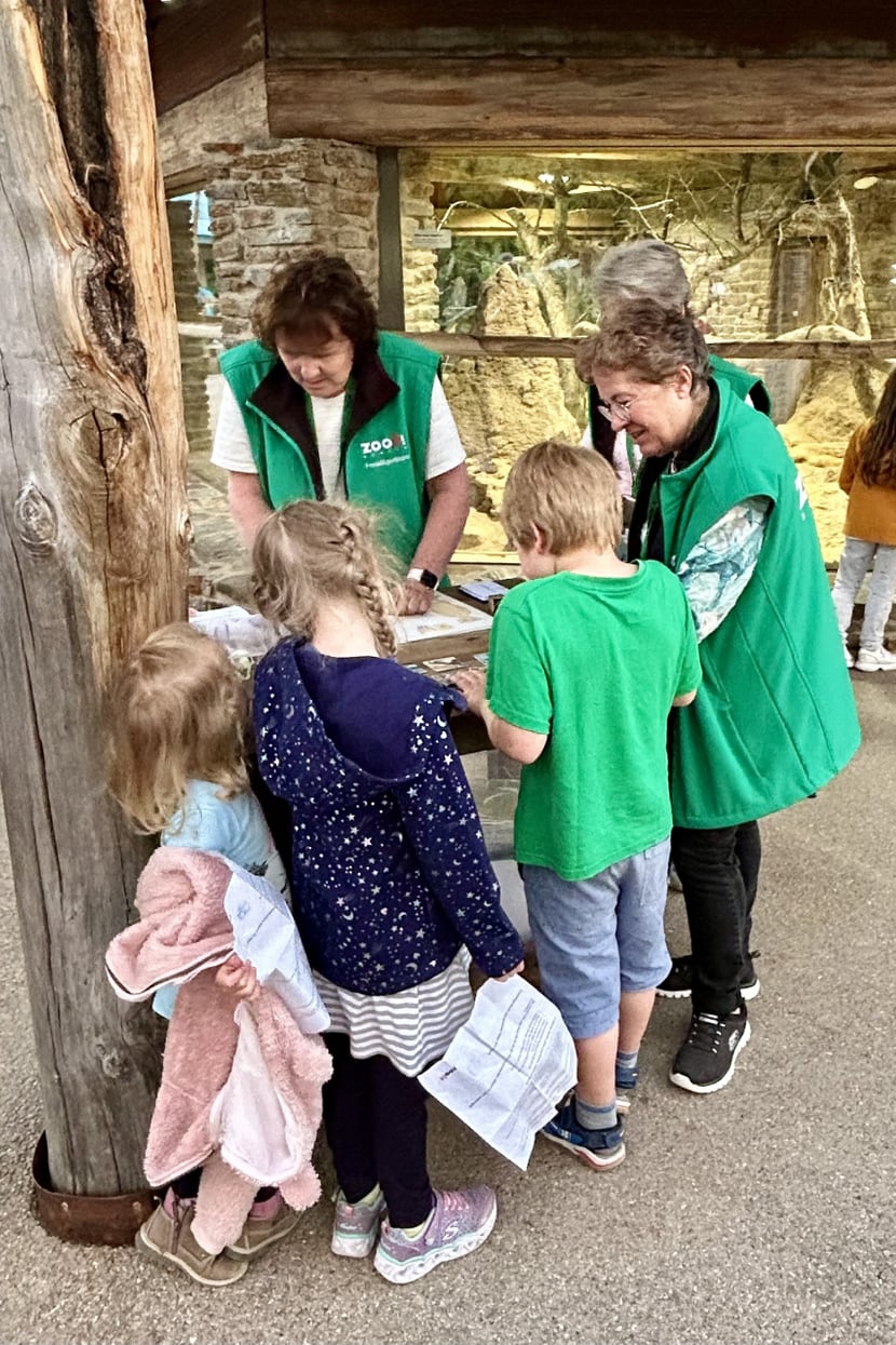 Dreamnight im Zoo Zürich am 7.6.2024.