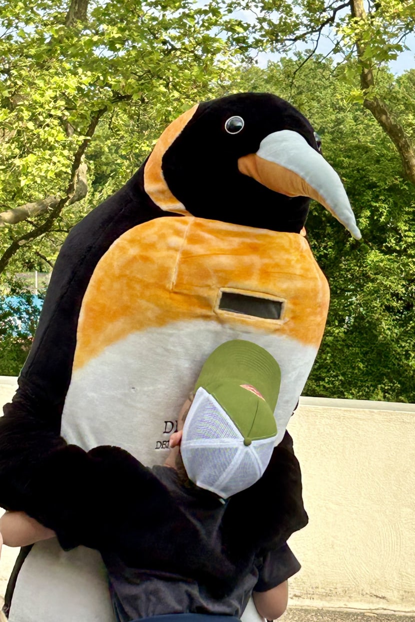 Dreamnight im Zoo Zürich am 7.6.2024.