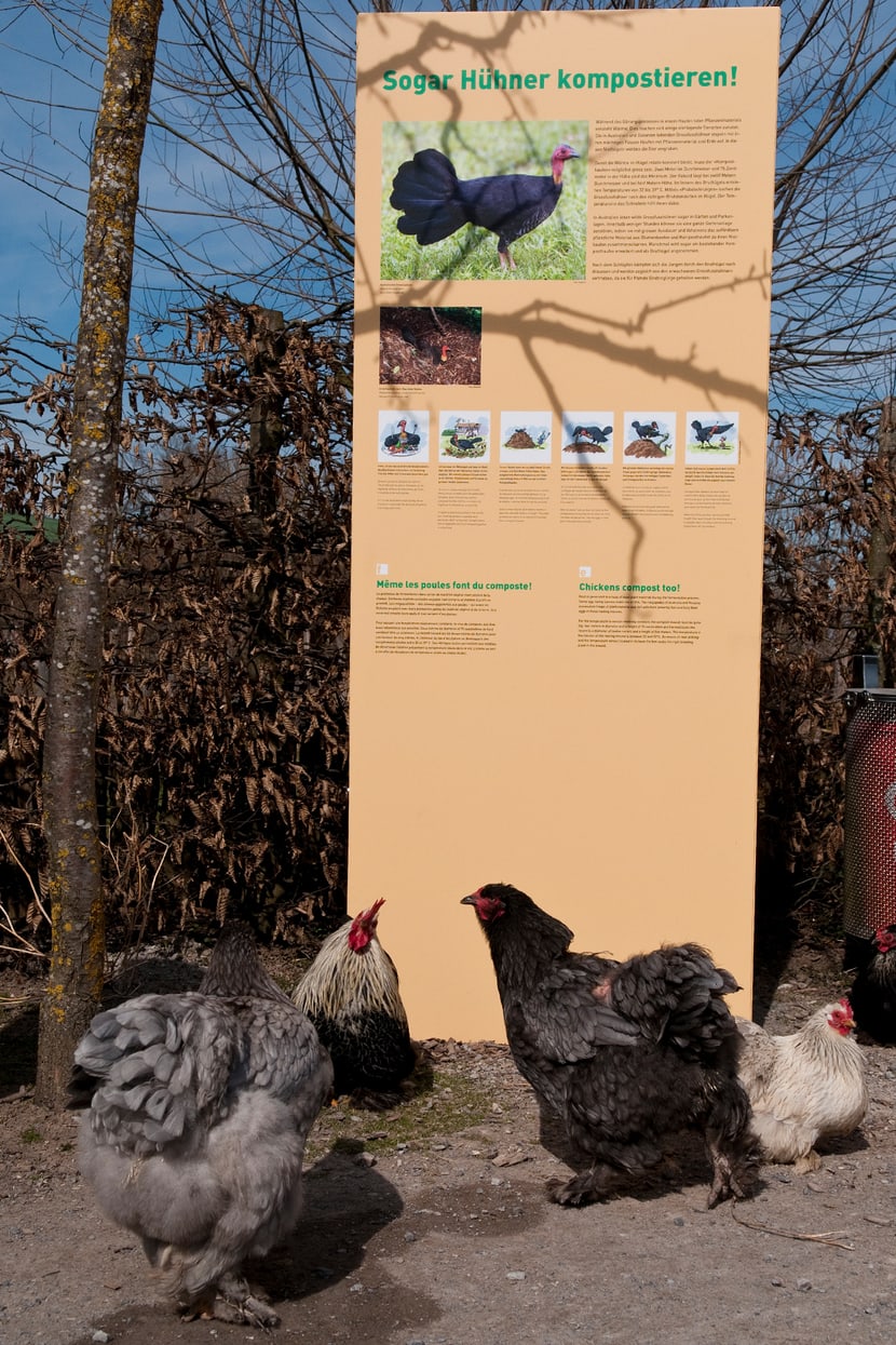 Ausstellung im Zoolino des Zoo Zürich.